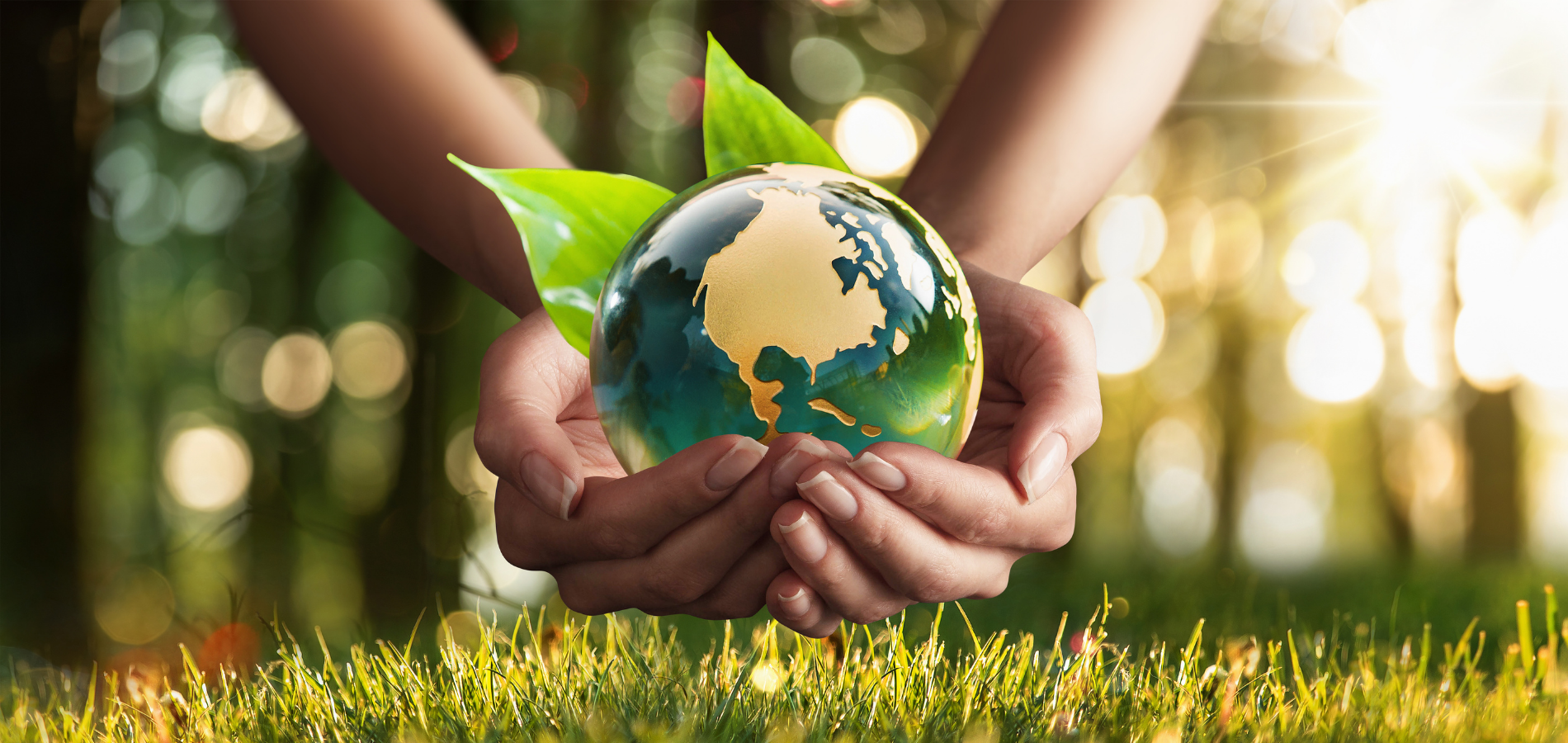 Banner Principal_GrupoFarinchi_Ecología_03 (1900 x 900 px)_01