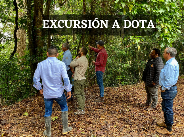 Excursión Dota (648 × 483 px) (1)