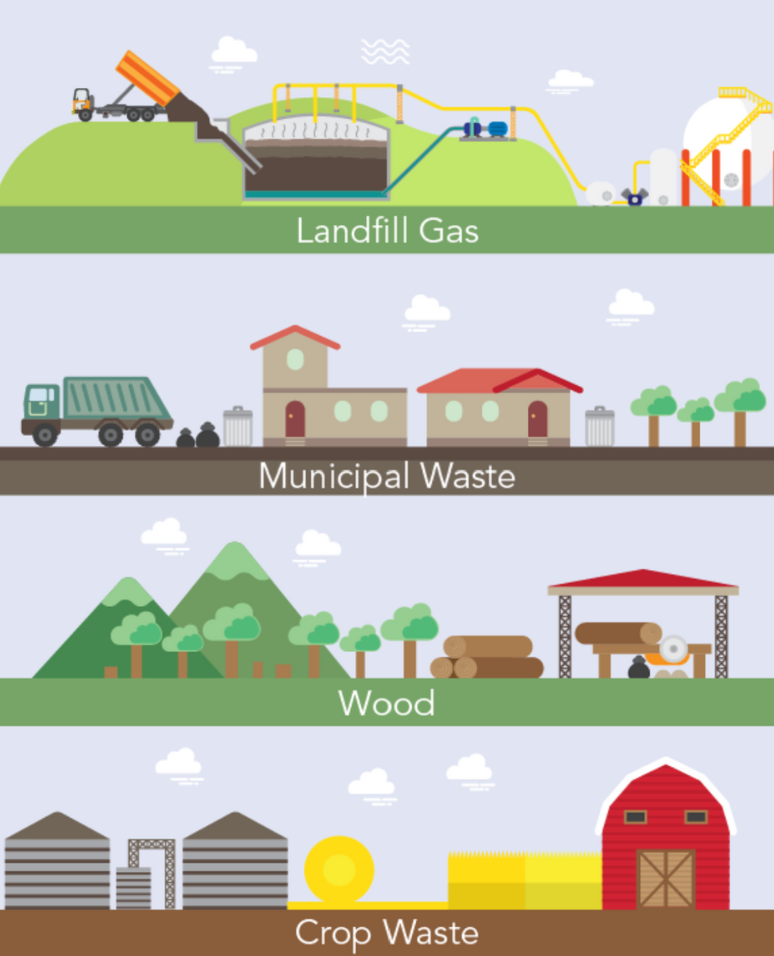 Image Biomass_01